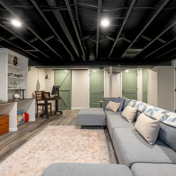 Basement Playroom in Springfield, PA