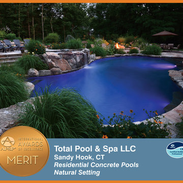 2014 APSP International Awards of Excellence