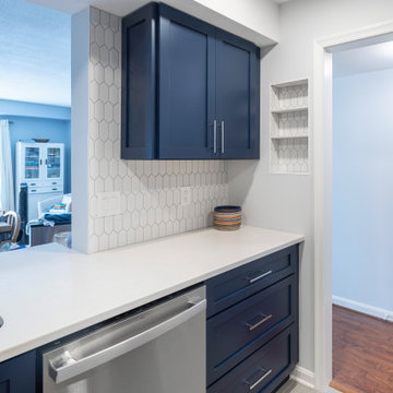 Transitional Kitchen Project in Old Town, Alexandria VA