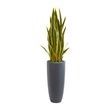 Plant