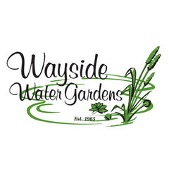 Wayside Water Gardens Ltd