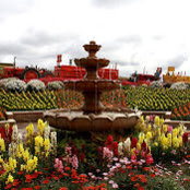 Aparna A's photo