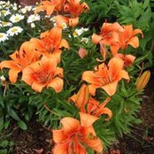 Mary Yoder's photo