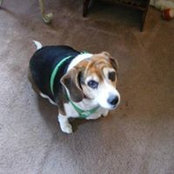 Peg Geiger's photo