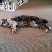 Izzy Dawkins's photo