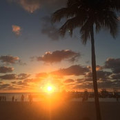 Dan's photo