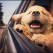 Foto de Kimberly Hoover-Rohrbaugh

