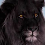 Solomon Horton's photo