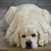 Bernadette Moran's photo