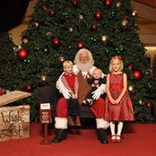 Laura Coonan's photo