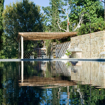 progetto Scopetone