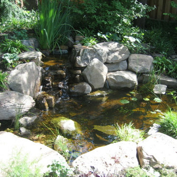 Backyard Retreat