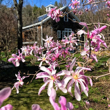 Cape Ann Farmhouse