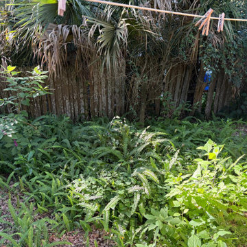 Overgrown Landscape Cleanup & Property Restoration