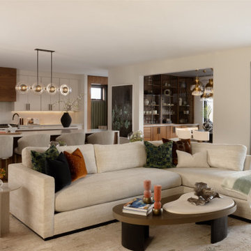 Contemporary Open-Concept Living Room and Kitchen