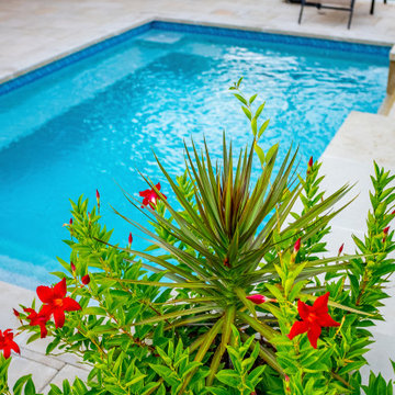 Austin Waters Retreat | Alterra Landscape Architect