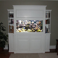 fishtank