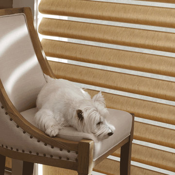 Pet- Safe Blinds