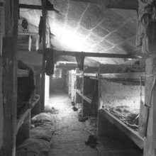 Auschwitz