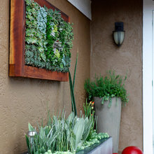 front yard