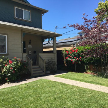 Willow Glen Driveway turns Lush