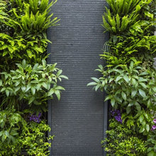 Garden ideas