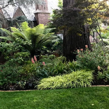 Vibrant Piedmont Front Yard