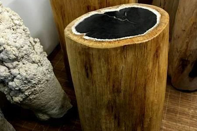 Fossil Stump End Table