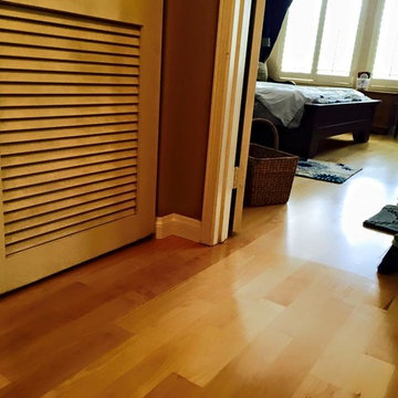 Lauzon Birch Install by Nuno B
