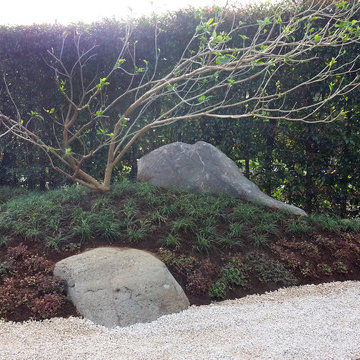 Japanese Garden in Central America