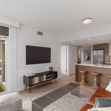Living Room - Transitional