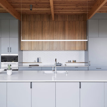 Mid-Century “Treehouse” Kitchen