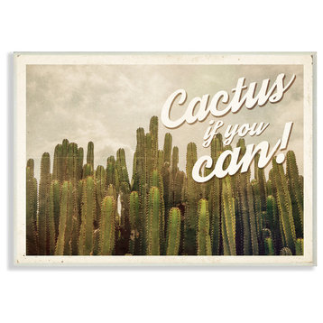 Cactus If You Can Cacti Photography Western Scene Postcard Wall Plaque, 10"x15"