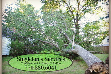 Tree Removal