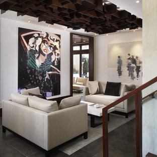 Contemporary Ceiling Design Houzz