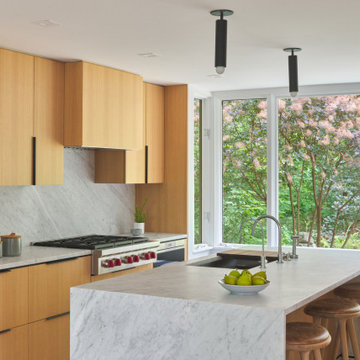 Woodland Modern Kitchen