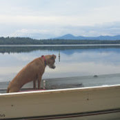 Photo de Lauren Buchheim