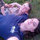 areil_sutton