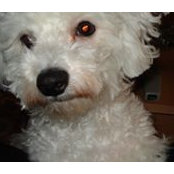 Maria Dedvukaj's photo