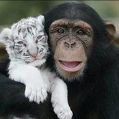 Chad Ordway's photo