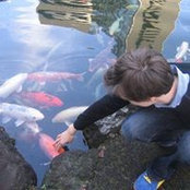 Stephen Garland's photo