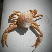 Cindy Yeskey's photo