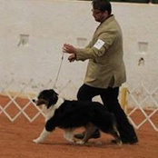 Ashley Lowery's photo