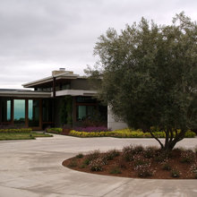 landscape/driveway
