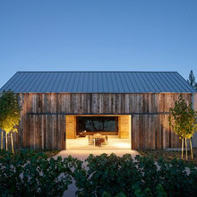 Vineyard