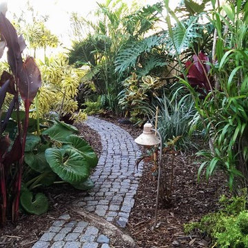 Tropical lawn replacement