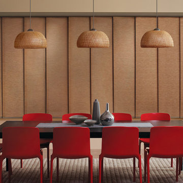 Hunter Douglas Contemporary Living Window Treatments and Draperies