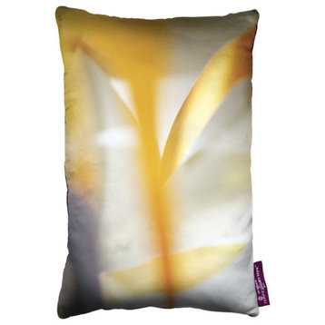 Harmony Designer Pillow, The Skan-9 Collection