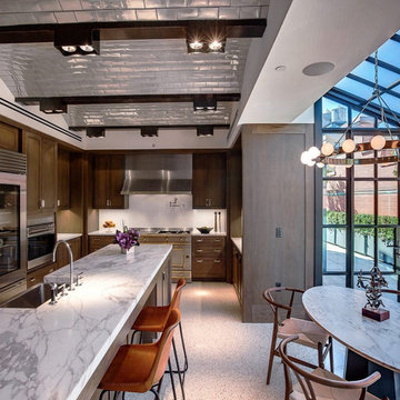 Puck Building Penthouses