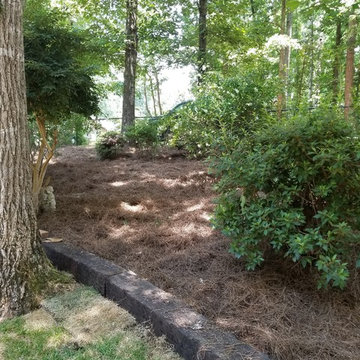 Cleanup and pinestraw